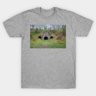 Lime Kilns T-Shirt